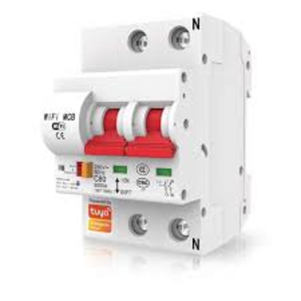Tuya Smart WiFi Circuit Breaker (2-Way)